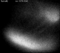 Thumbnail for version as of 17:04, 22 March 2011